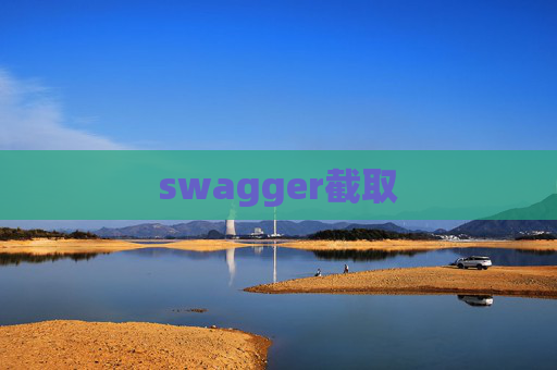 swagger截取